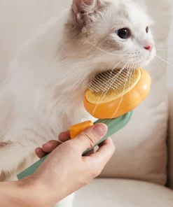 Pumpkin Brush Pet Deshedder