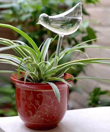 Self-Watering Plant Glass Bird Bulbs