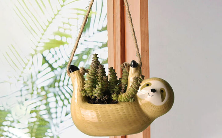 Unique Planters