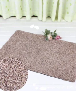 Non-Slip Magic Indoor Super Absorbent Doormat