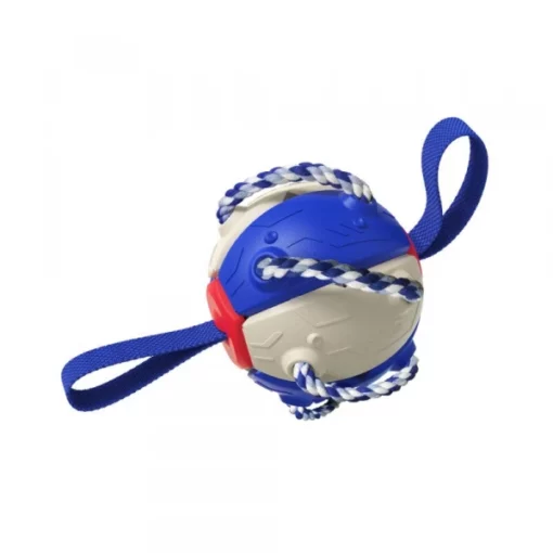 Bouncing Frisbee Ball Interactive Dog Toy