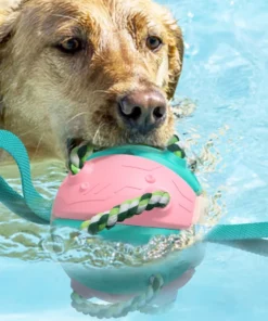 Bouncing Frisbee Ball Interactive Dog Toy