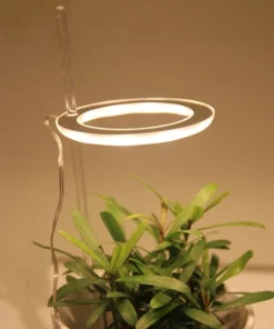 Grow Lights For Indoor Plants