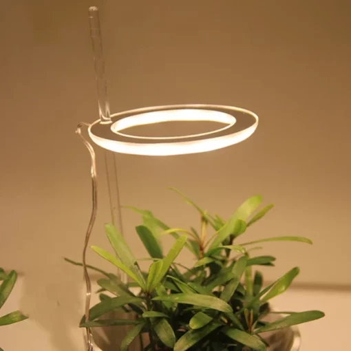 Grow Lights For Indoor Plants