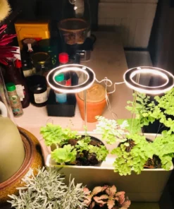 Grow Lights For Indoor Plants