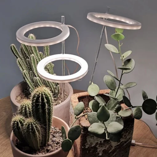 Grow Lights For Indoor Plants