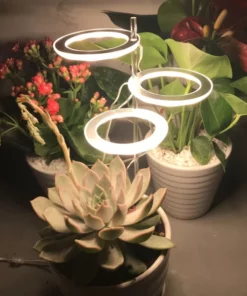 Grow Lights For Indoor Plants