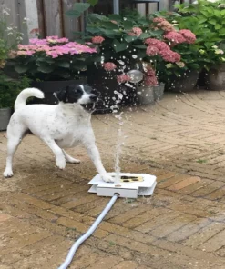 Dog Water Fountain