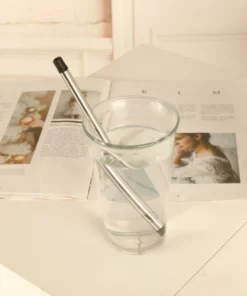 Collapsible Stainless Steel Straw with Case