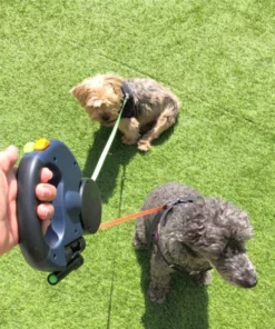 3M Retractable 2 Dog Leash