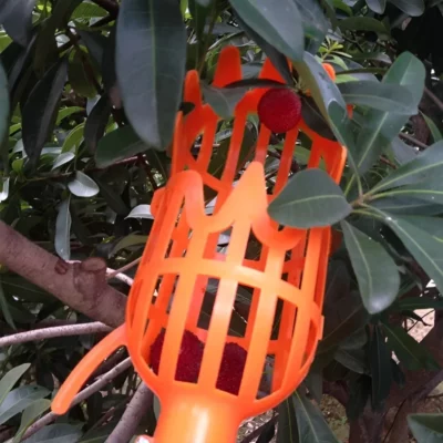 2-In-1 Fruit Picker & Basket