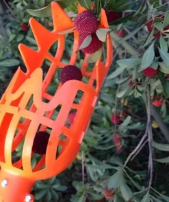 2-In-1 Fruit Picker & Basket