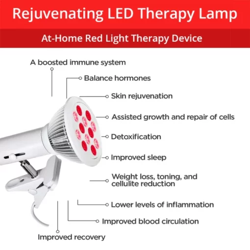 Rejuvenating LED Therapy Spa Facial Vitamin D Infrared Lamp