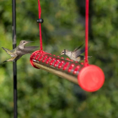 Leak-Proof Hummingbird Water Feeder