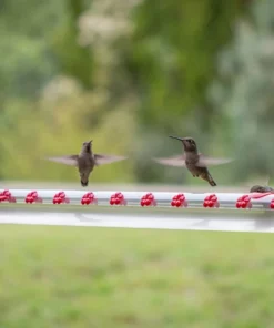 Leak-Proof Hummingbird Water Feeder