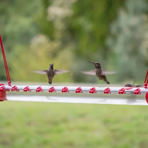 Leak-Proof Hummingbird Water Feeder