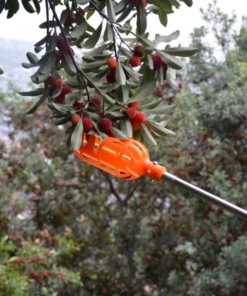 2-In-1 Fruit Picker & Basket