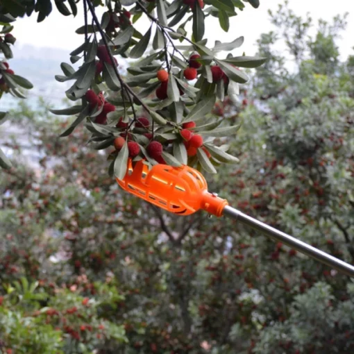 2-In-1 Fruit Picker & Basket