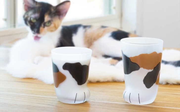 Inexpensive Gifts For Cat Lovers