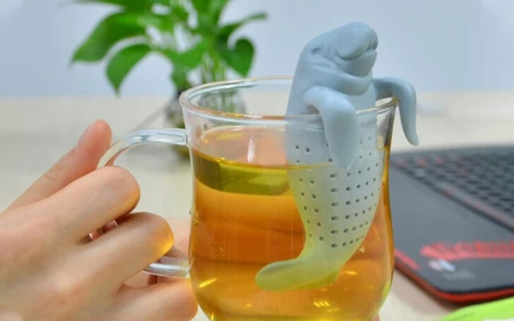 Best Tea Infusers