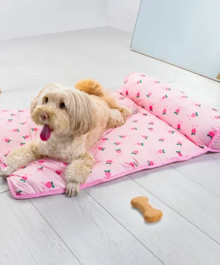 Dog Cooling Sofa Bed