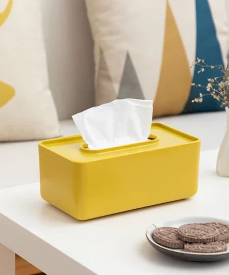 Facial Tissue Dispenser Box With Lid