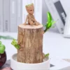 Groot Lucky Brazilwood Hydroponic Plant