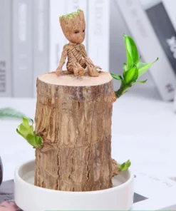 Groot Lucky Brazilwood Hydroponic Plant