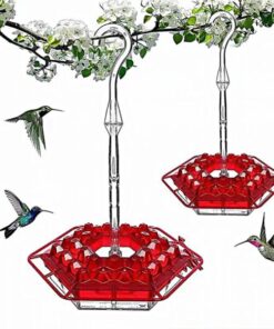 Mary's Hummingbird Feeder