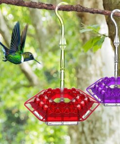 Mary's Hummingbird Feeder