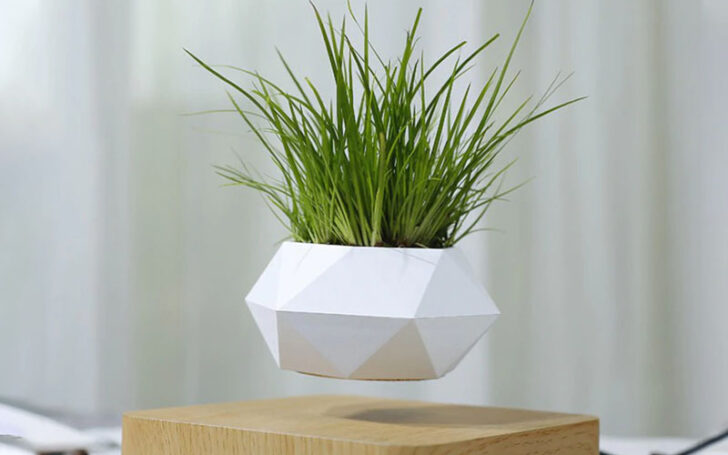 Gifts For Indoor Gardeners