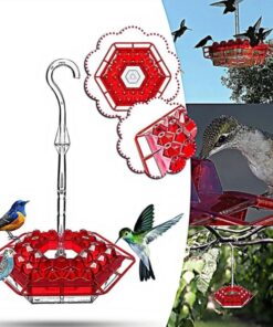 Mary's Hummingbird Feeder