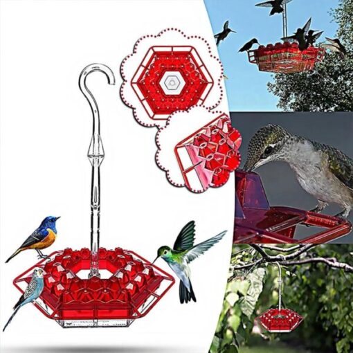 Mary's Hummingbird Feeder