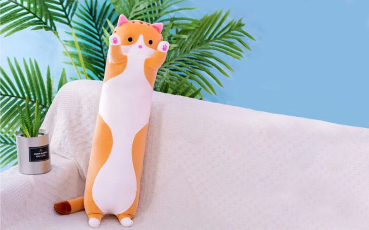 Inexpensive Gifts For Cat Lovers