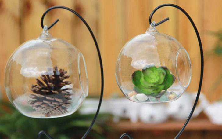 Gifts For Indoor Gardeners