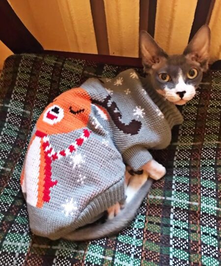 Winter Knitted Cat Clothes