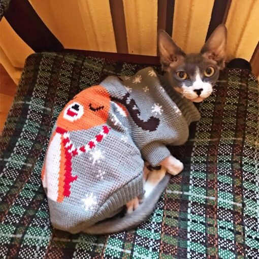 Winter Knitted Cat Clothes