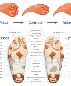 Ems Acupoints Stimulator Massage Foot Mat