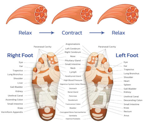 Ems Acupoints Stimulator Massage Foot Mat